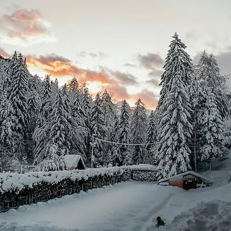 Idyllic Triglav Forest Retreat - Alps, Trails, Lakes, Falls Mojstrana Exterior photo