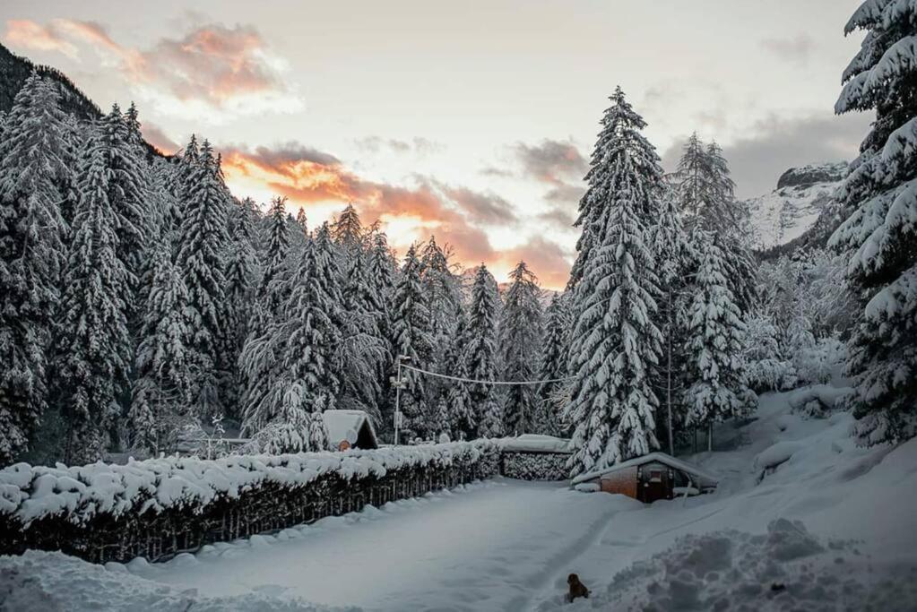 Idyllic Triglav Forest Retreat - Alps, Trails, Lakes, Falls *